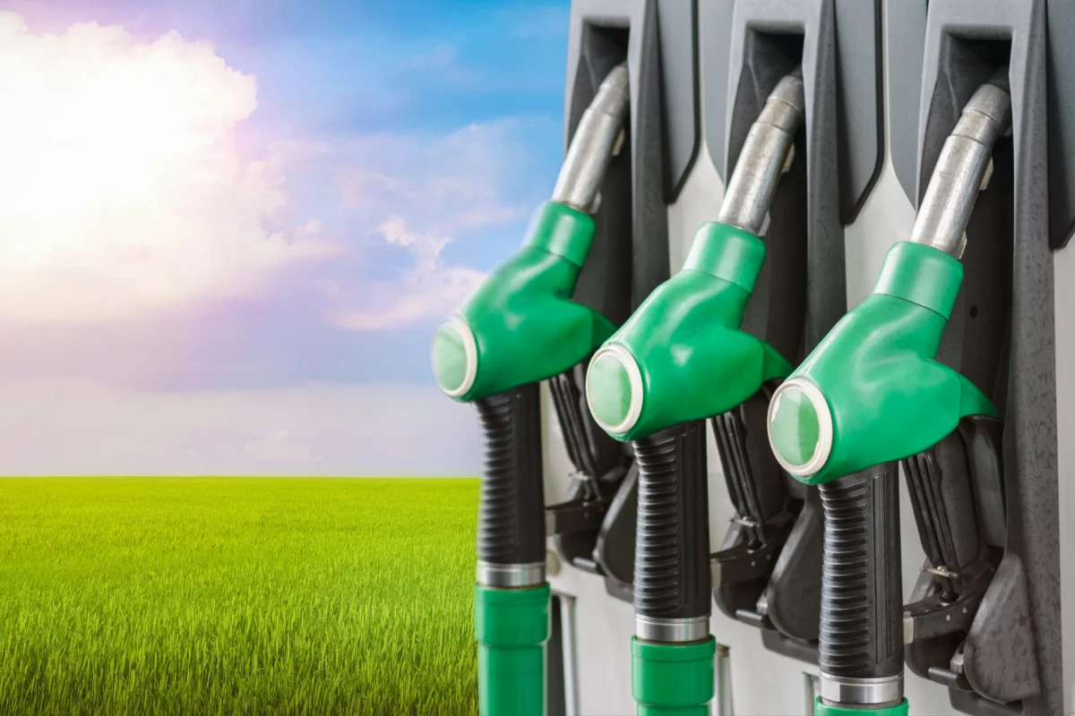 Biodiesel en Venezuela - Vitalis ONG Blog