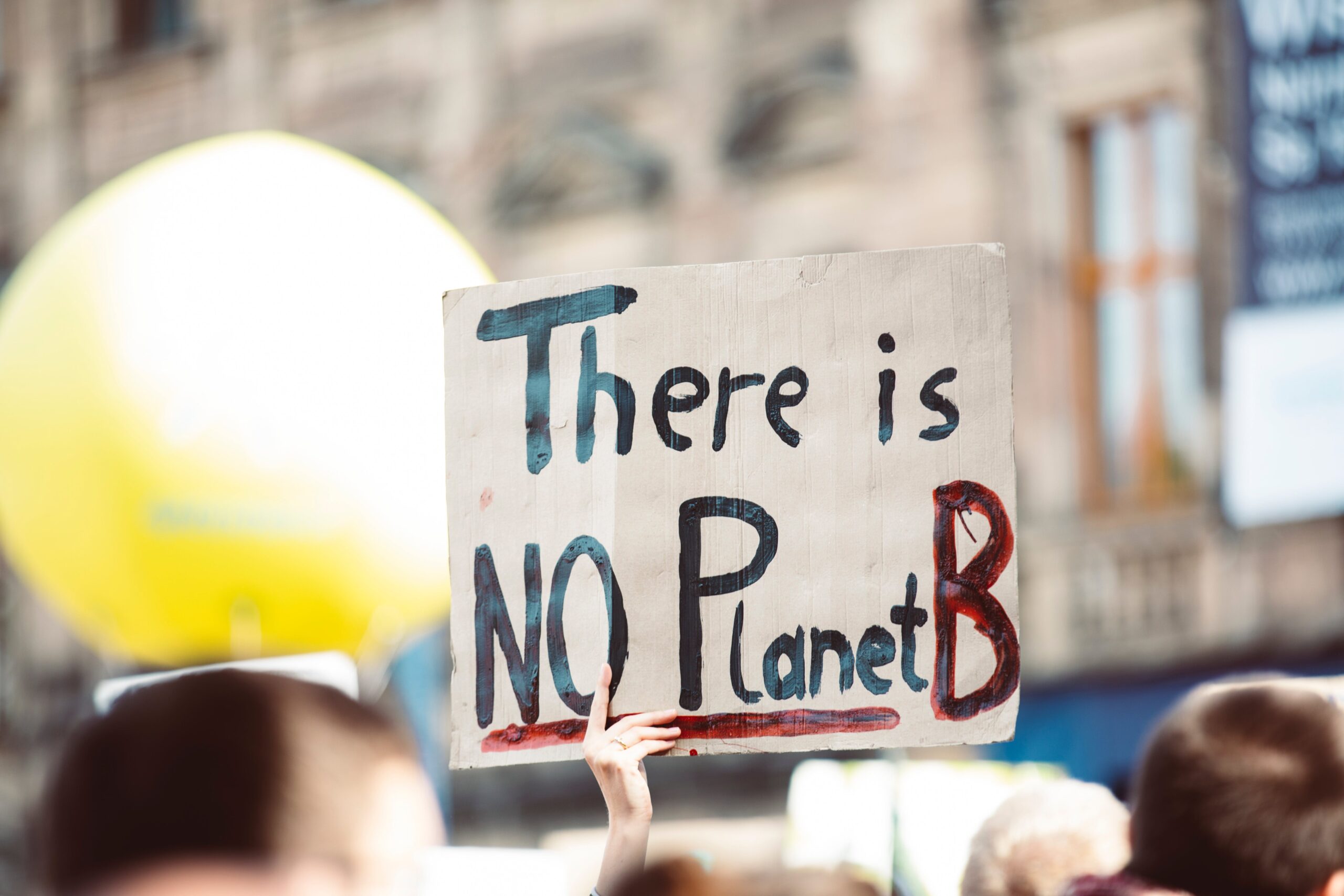 There is no Planet B.jpg