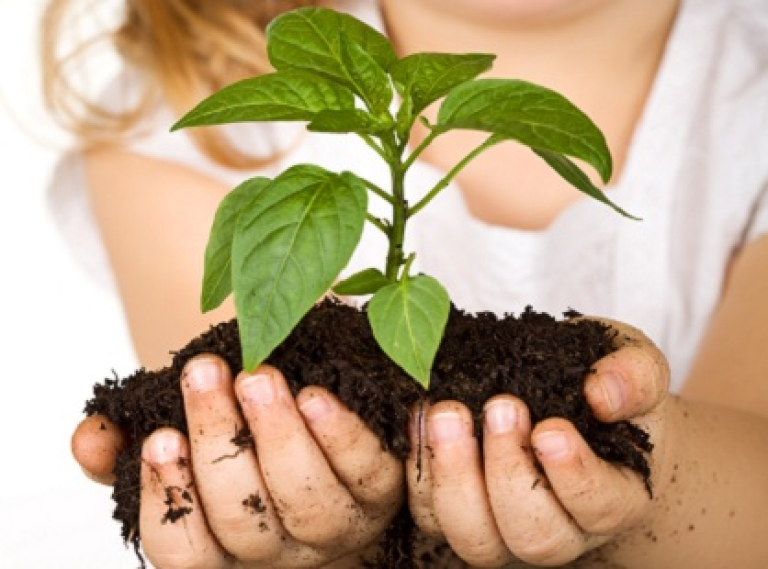 desarrollo-sostenible-2